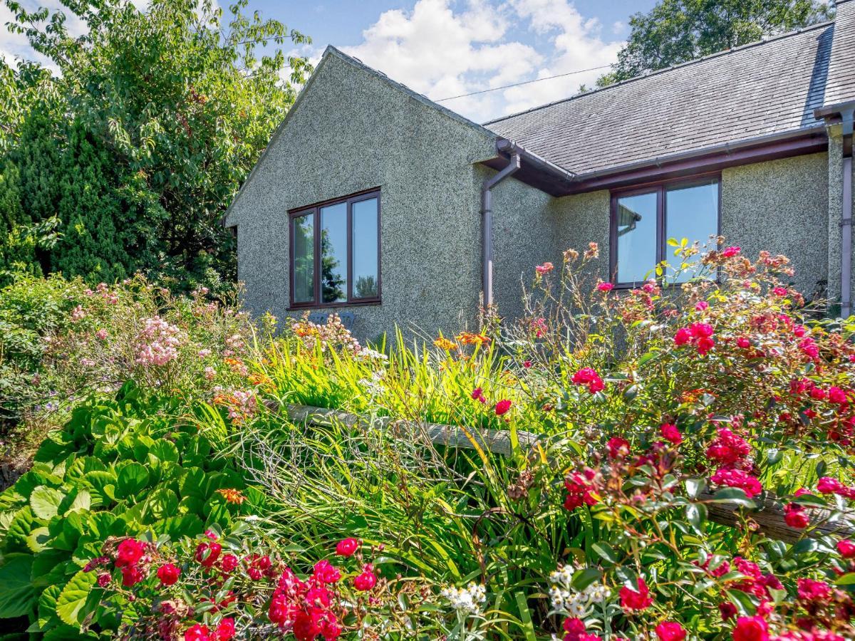 Llety Nest Villa Llanfachreth Екстериор снимка